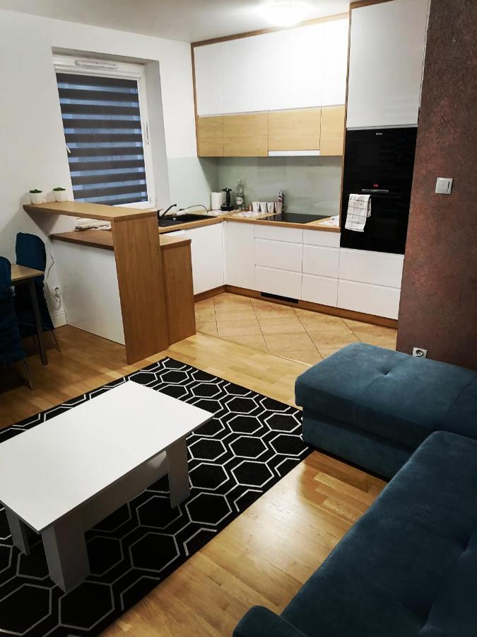 Apartament Luxbibi Lägenhet Rzeszów Exteriör bild